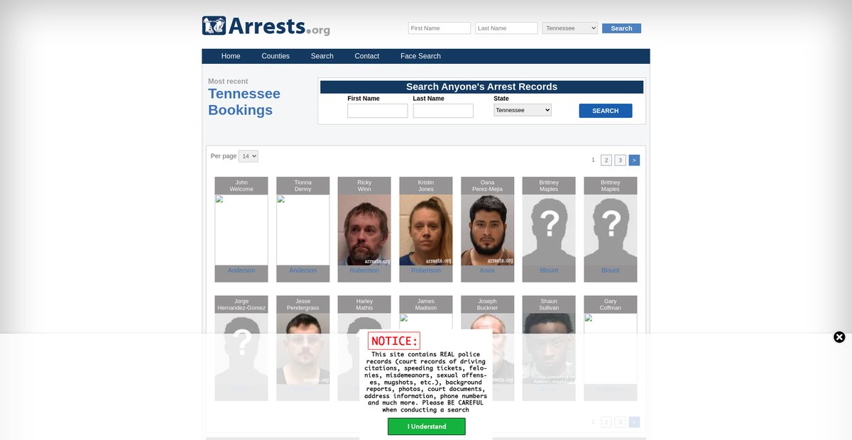 Preview of tennessee.arrests.org