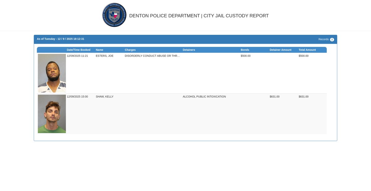 Preview of athena.dentonpolice.com