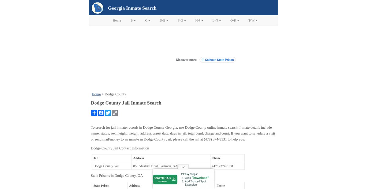 Preview of inmatesearchga.org