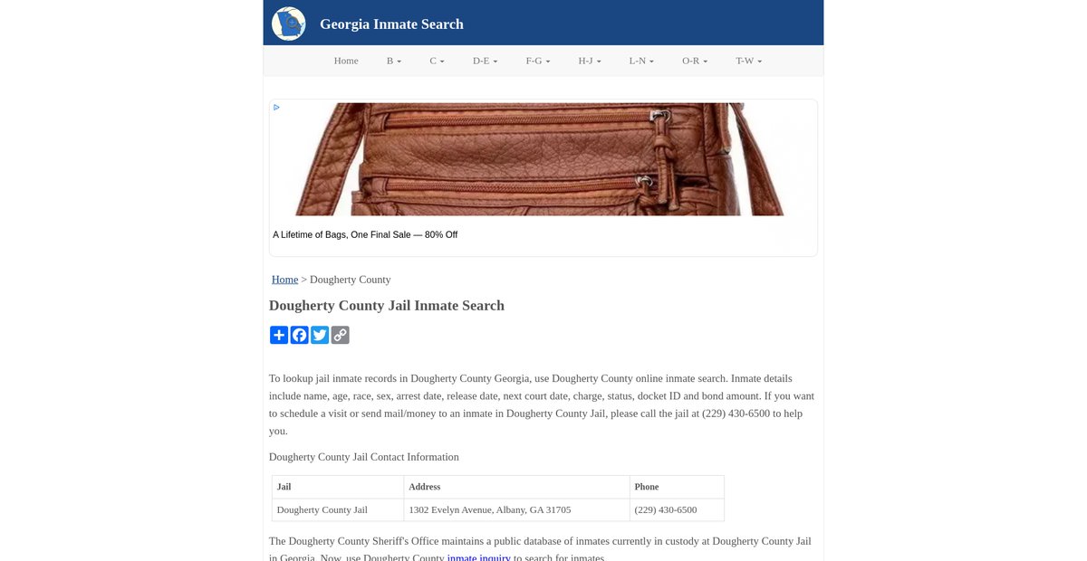 Preview of inmatesearchga.org