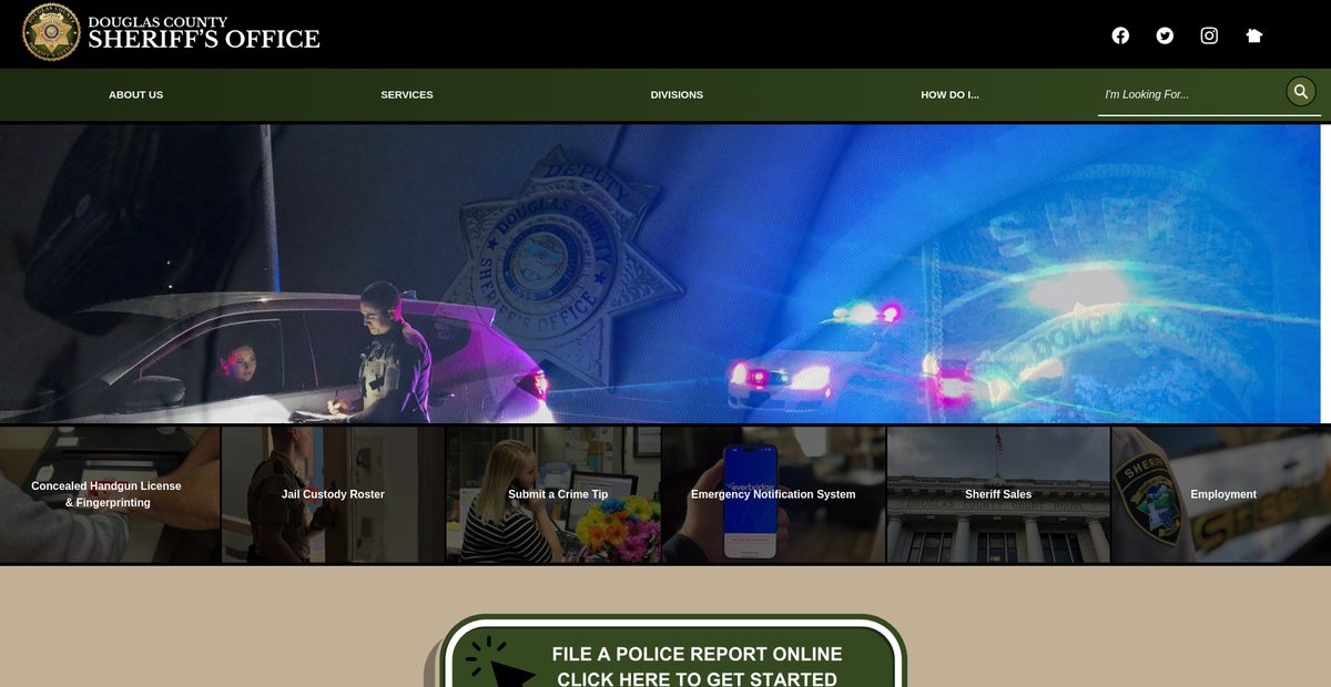 Preview of dcso.com