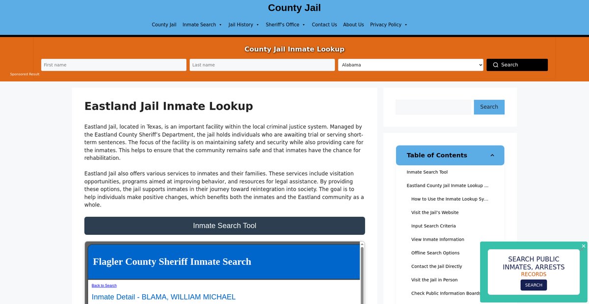 Preview of eastland.countyjail.org