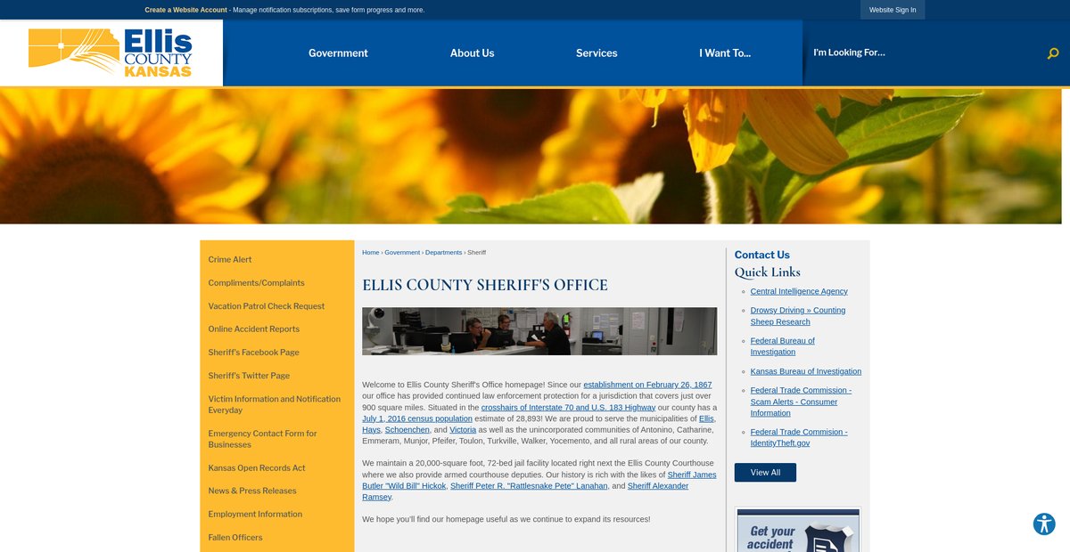Preview of ellisco.net
