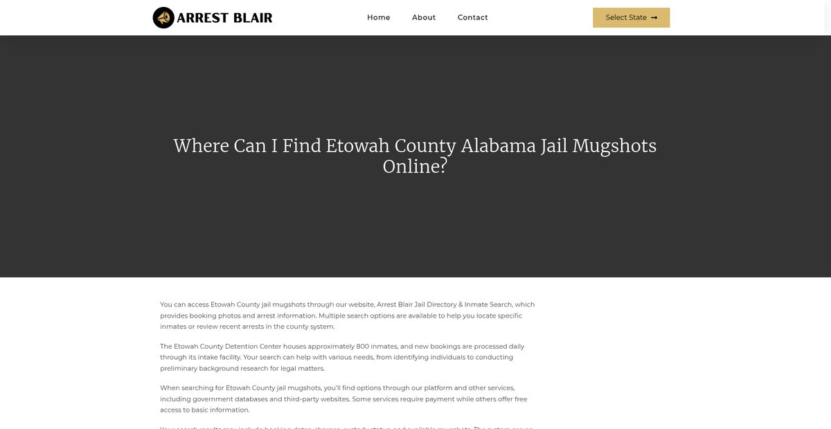 Preview of arrestblair.org