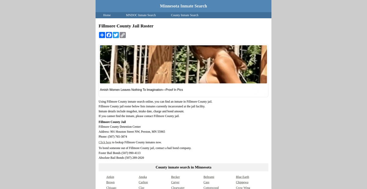 Preview of inmatesearchminnesota.org