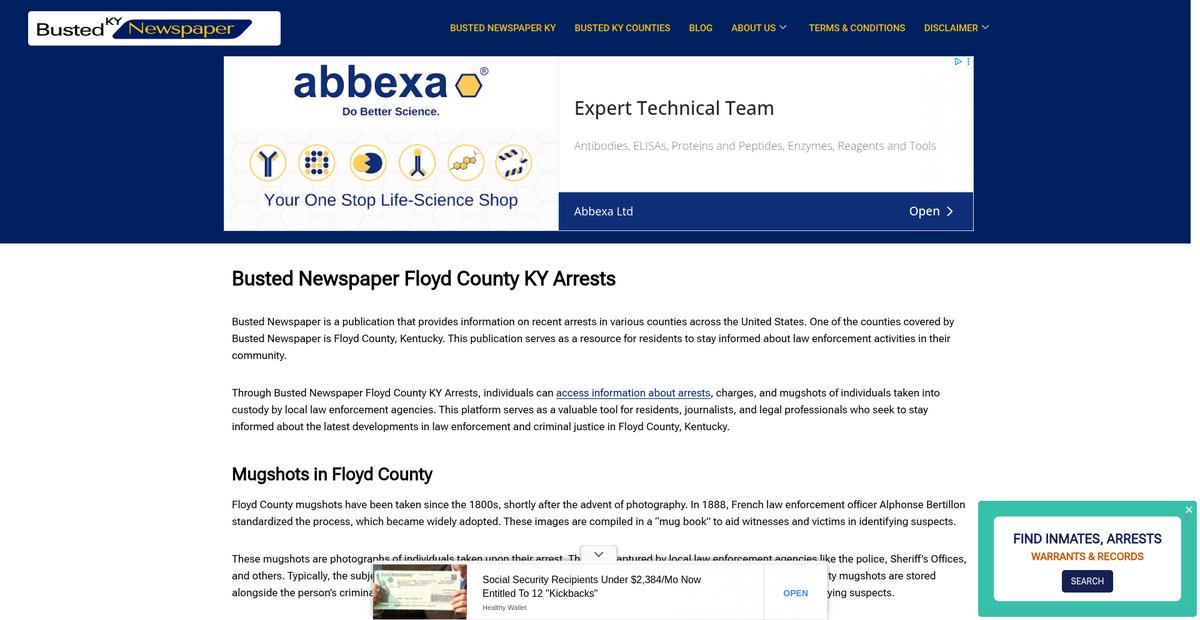 Preview of bustednewspaper-ky.com