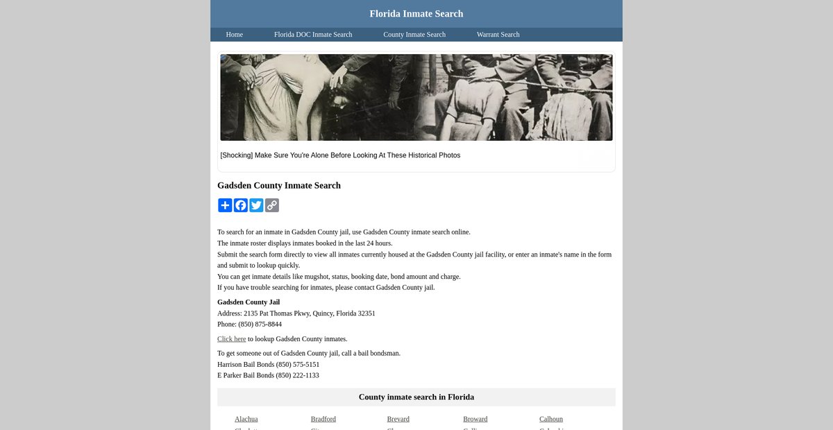 Preview of inmatesearchflorida.org