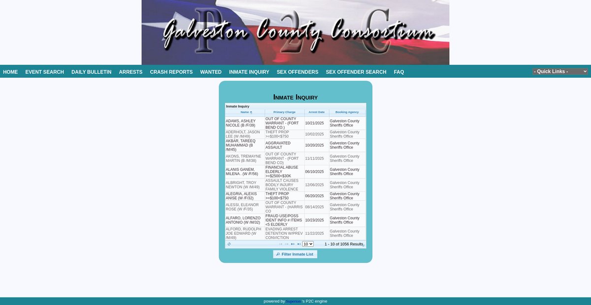 Preview of p2c.galvestoncountytx.gov