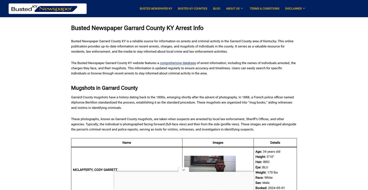 Preview of bustednewspaper-ky.com