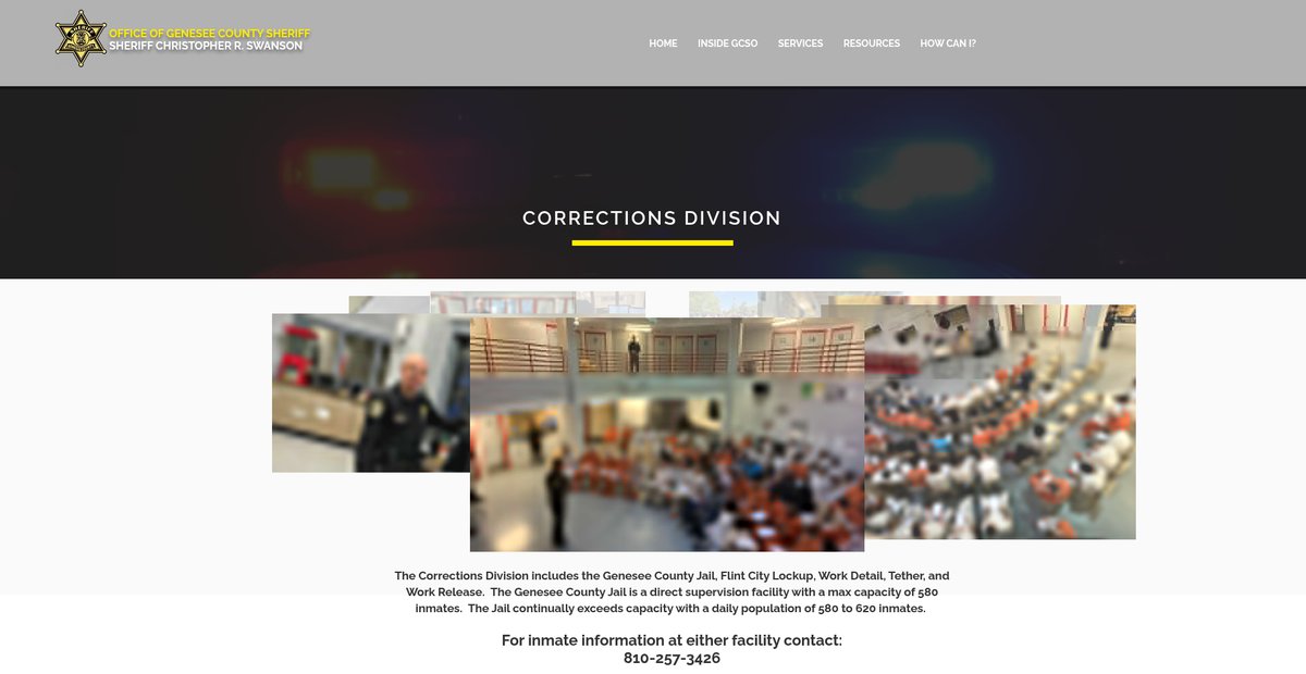 Preview of gcsomichigan.com