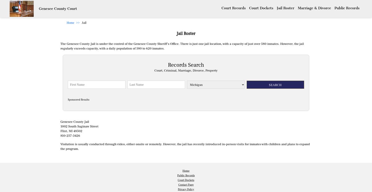 Preview of geneseecountycourt.org