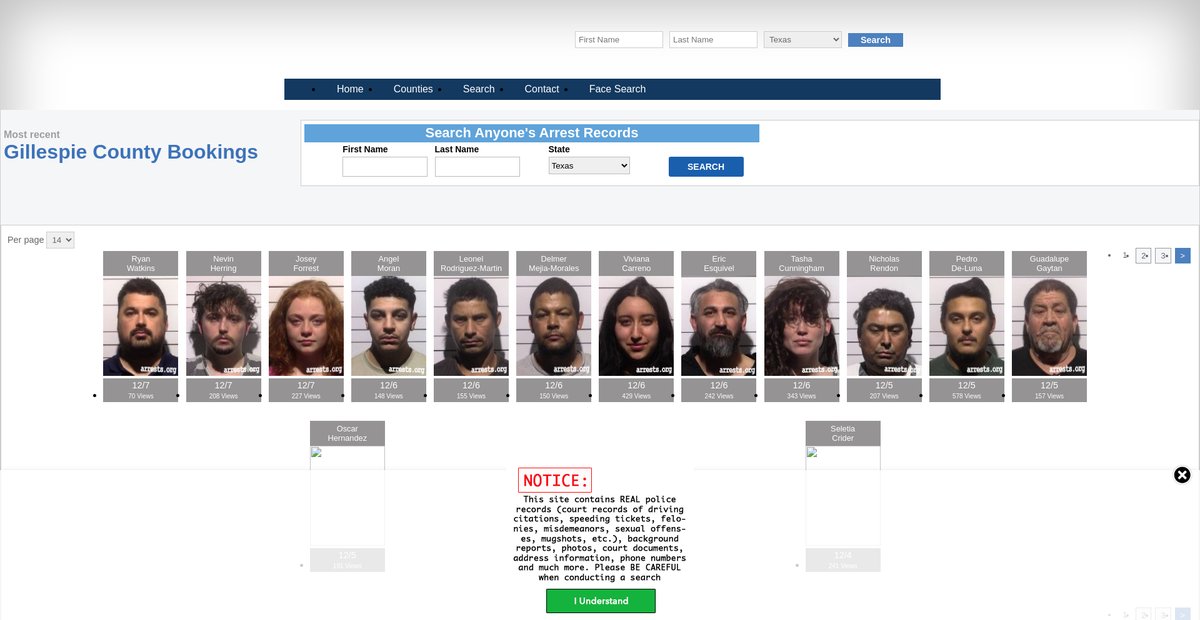 Preview of texas.arrests.org