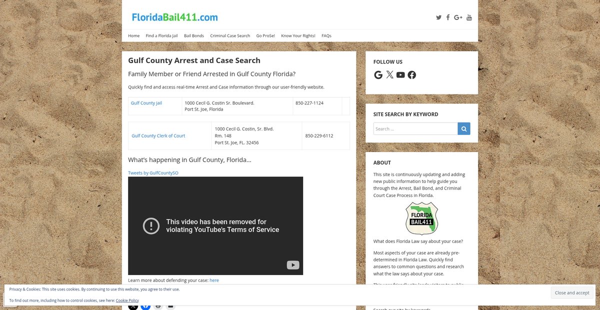 Preview of floridabail411.com