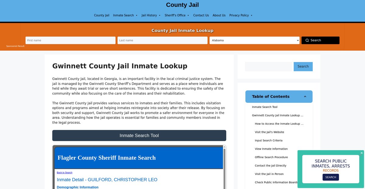 Preview of gwinnett.countyjail.org
