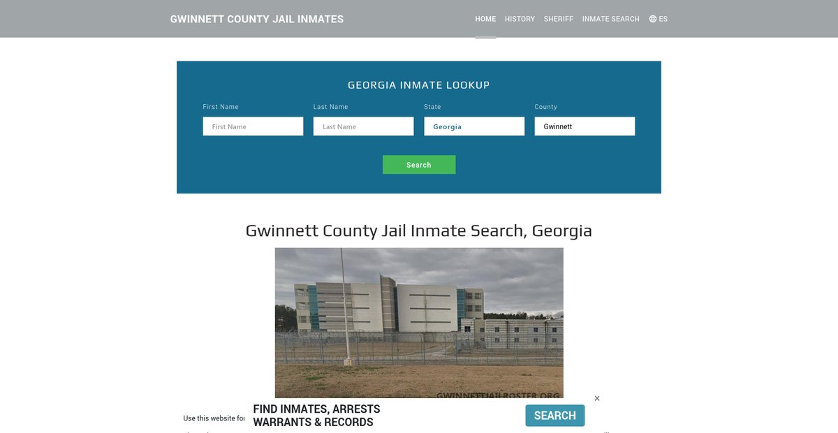 Preview of gwinnettjailroster.org