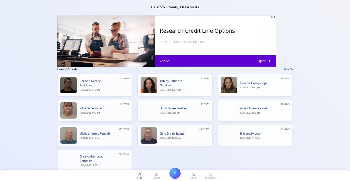 Preview of hancockcountyoh.publicjailrecords.com
