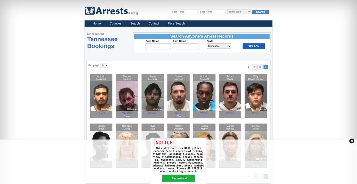 Preview of tennessee.arrests.org