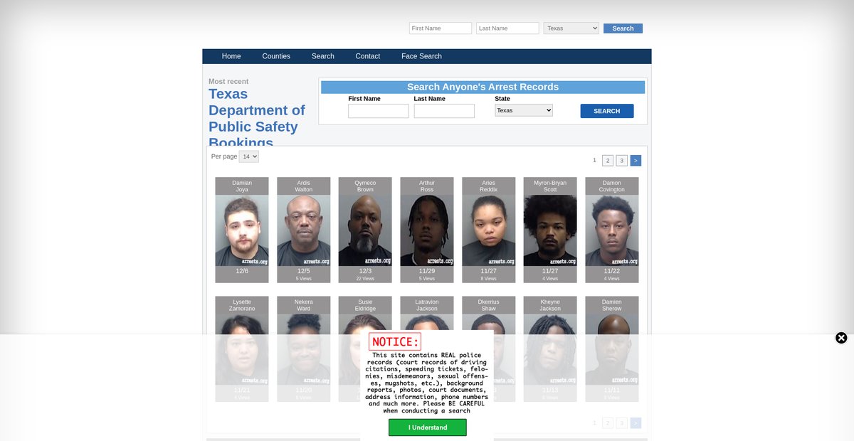 Preview of texas.arrests.org