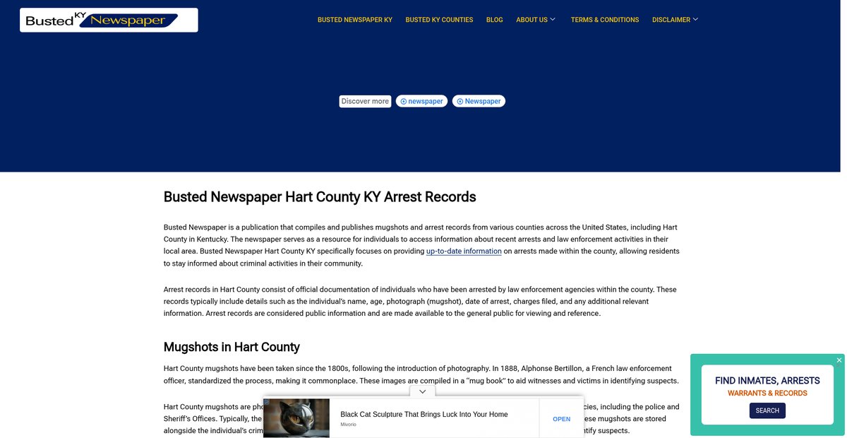 Preview of bustednewspaper-ky.com