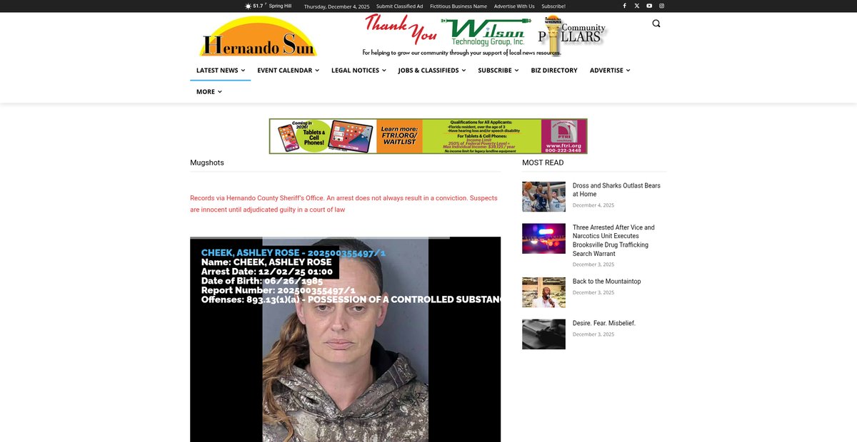 Preview of hernandosun.com