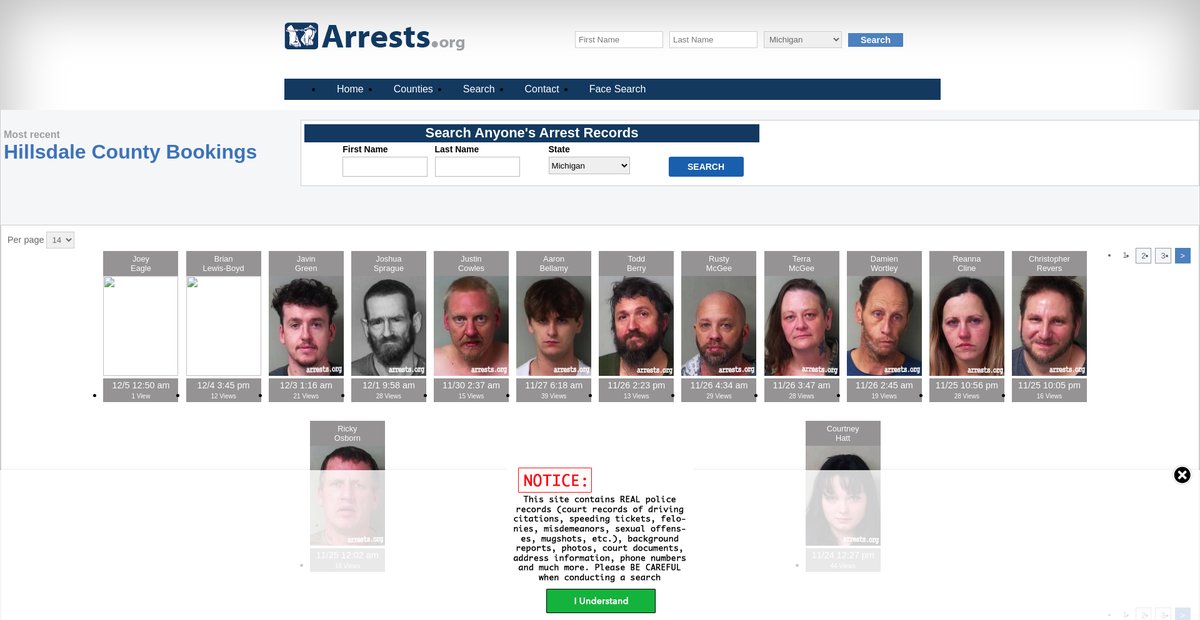 Preview of michigan.arrests.org