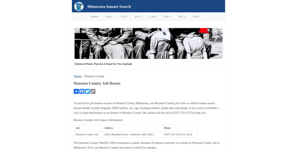 Preview of inmatesearchmn.org