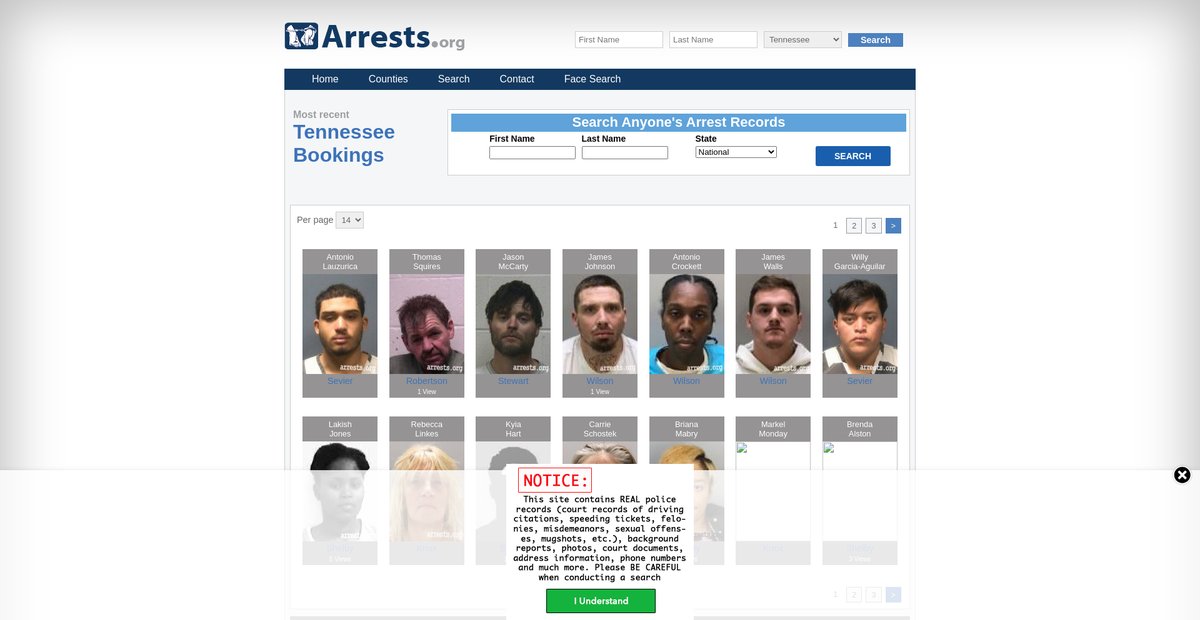 Preview of tennessee.arrests.org