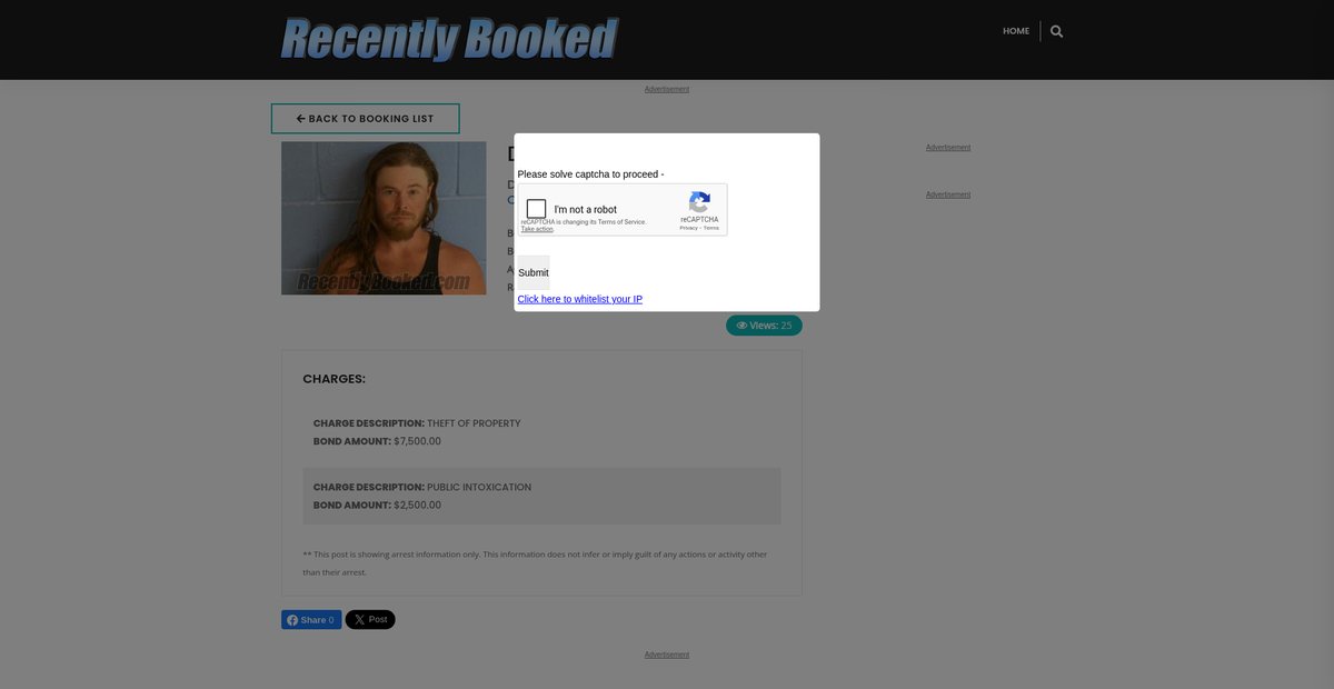 Preview of recentlybooked.com