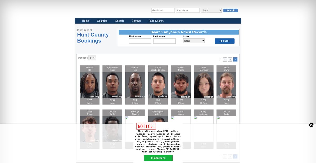 Preview of texas.arrests.org