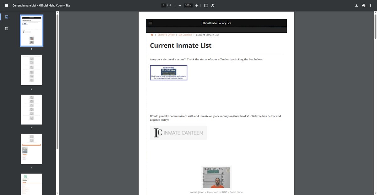 Preview of jailrosters.org
