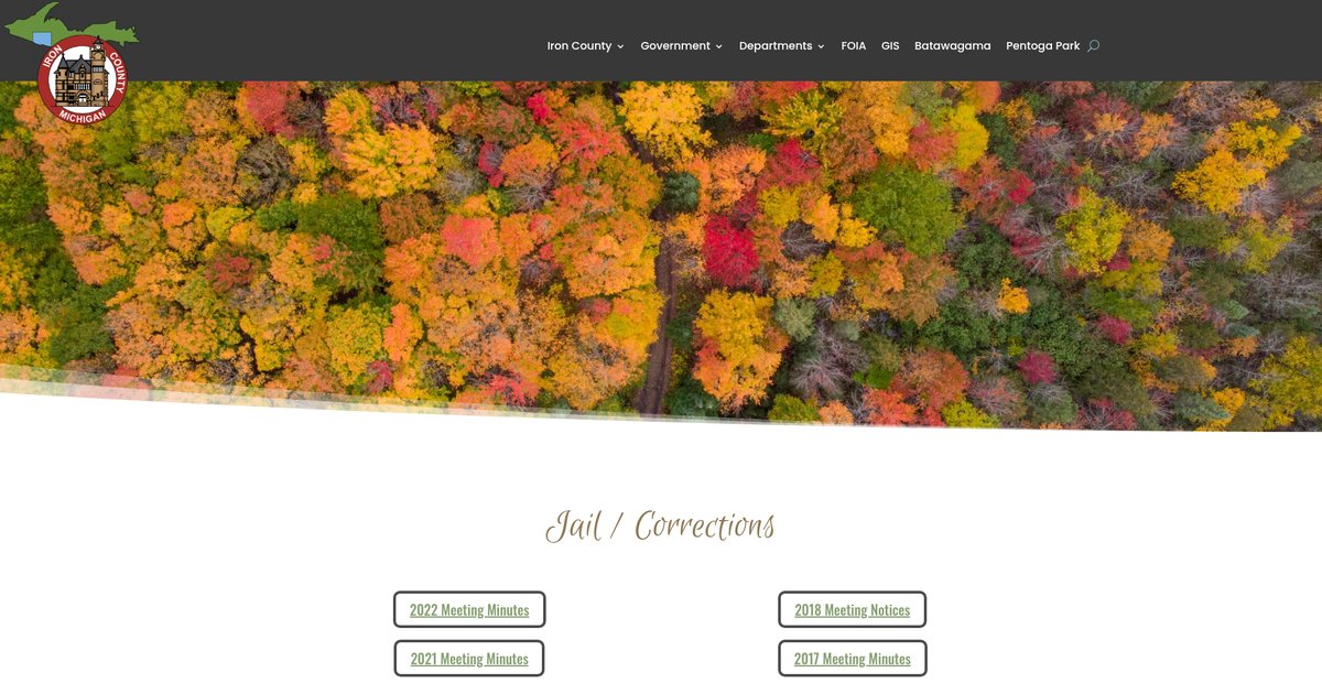 Preview of ironmi.com