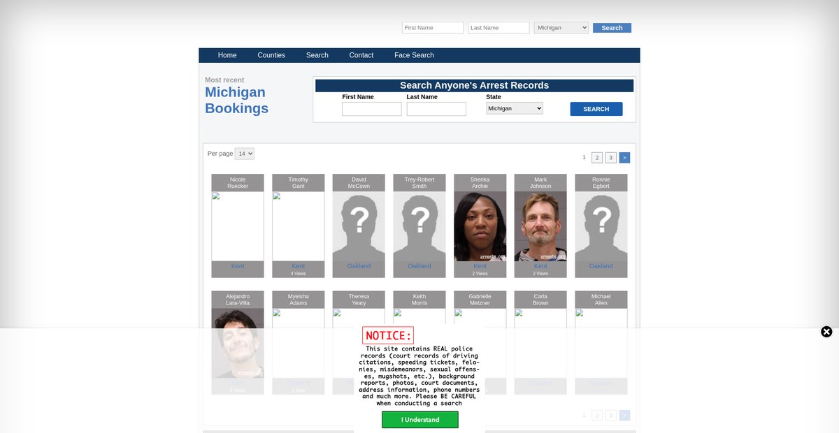 Preview of michigan.arrests.org
