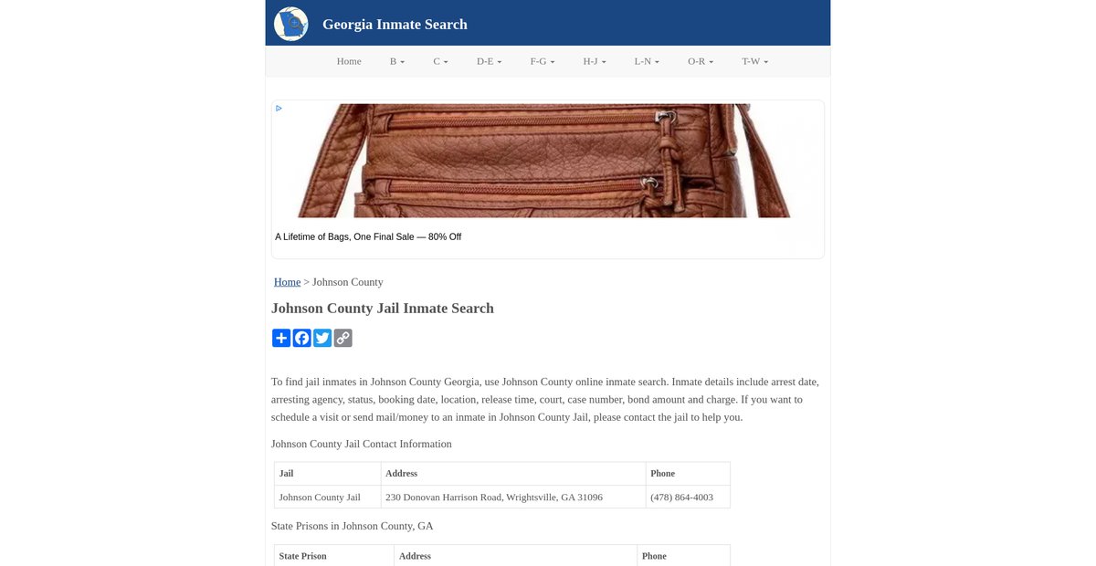 Preview of inmatesearchga.org