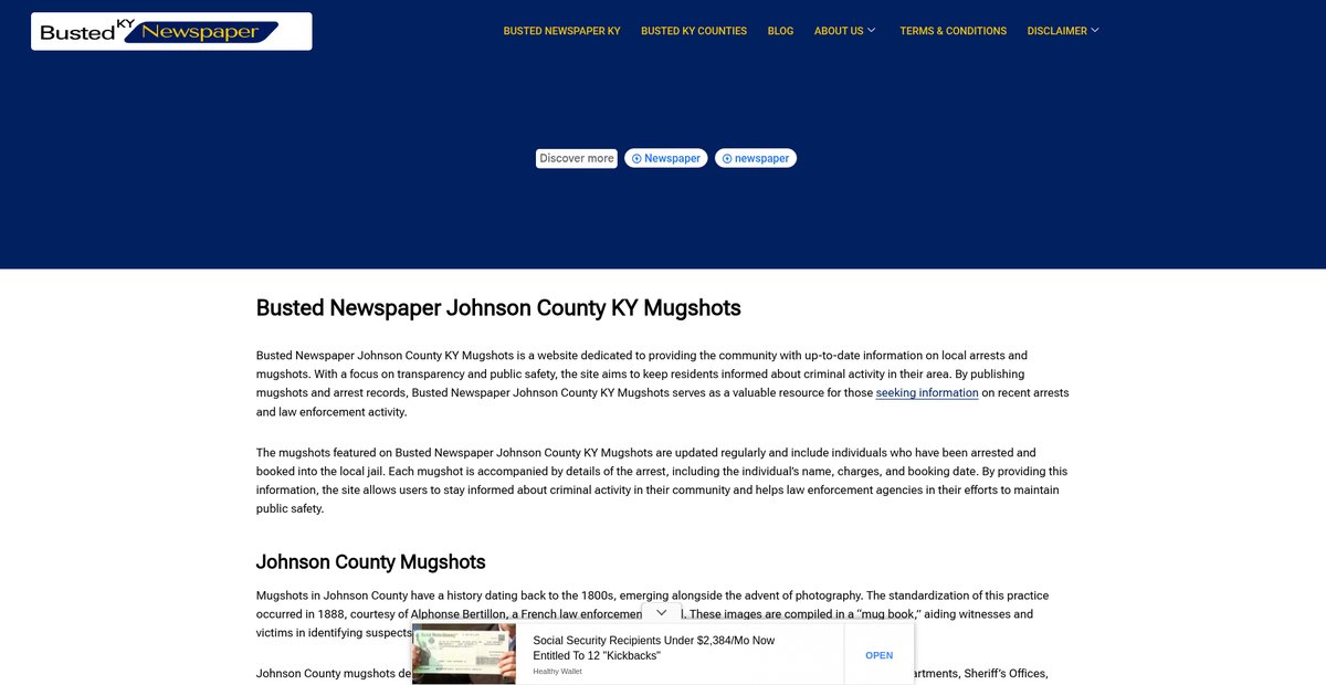 Preview of bustednewspaper-ky.com