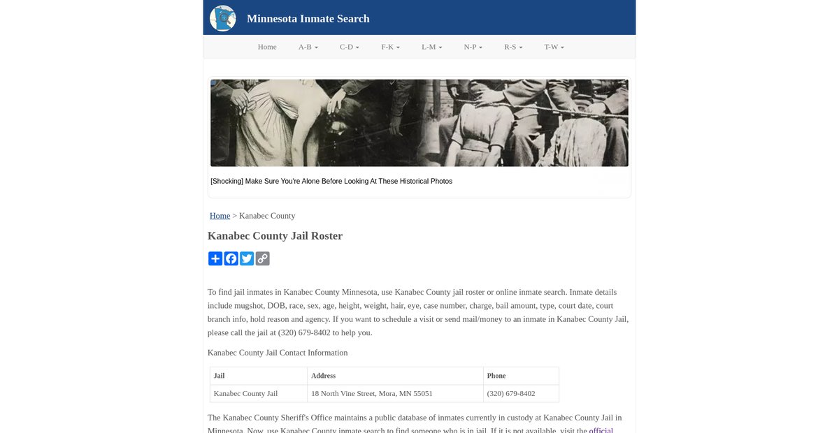 Preview of inmatesearchmn.org