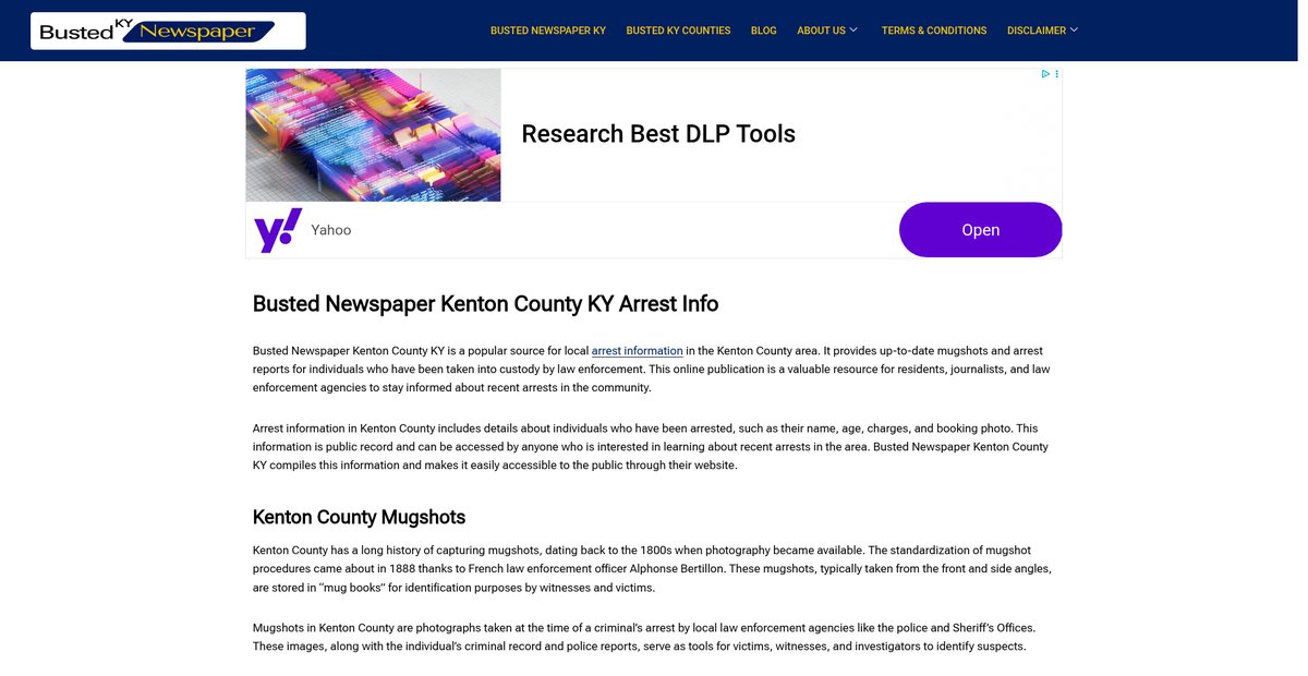 Preview of bustednewspaper-ky.com