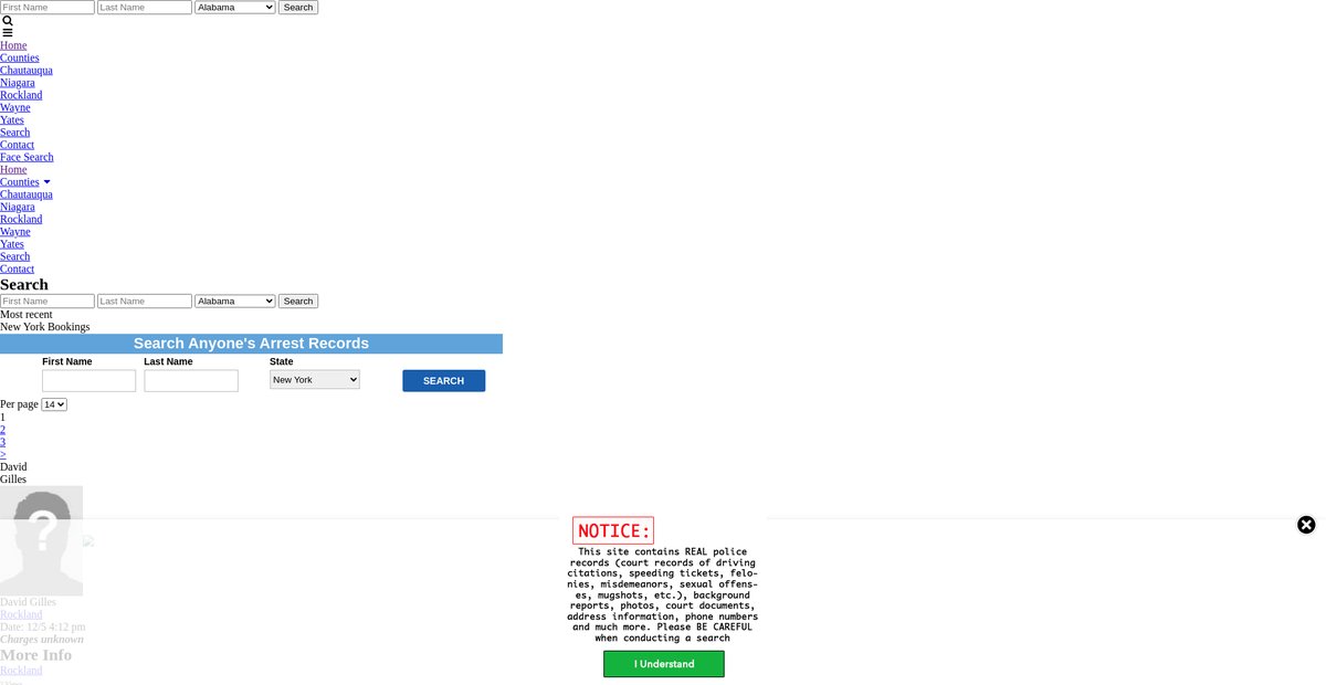 Preview of newyork.arrests.org