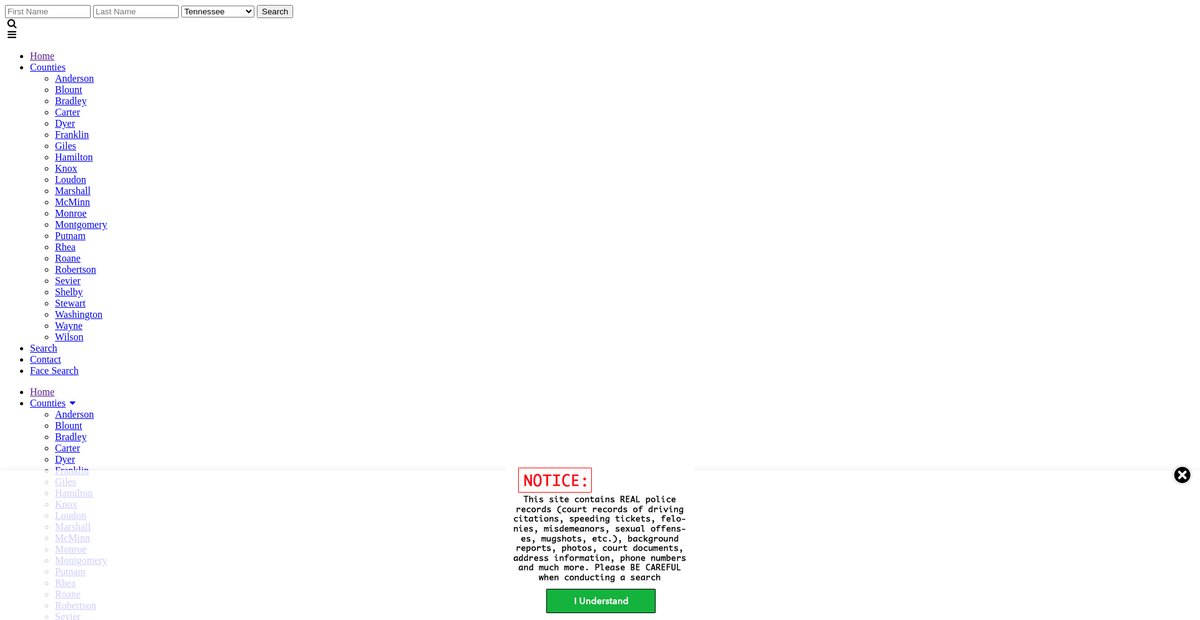 Preview of tennessee.arrests.org