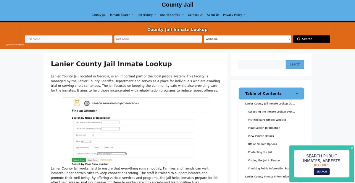 Preview of lanier.countyjail.org