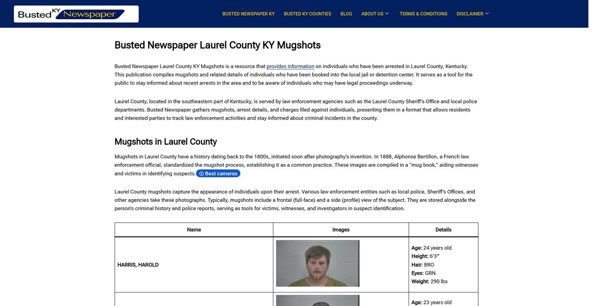 Preview of bustednewspaper-ky.com