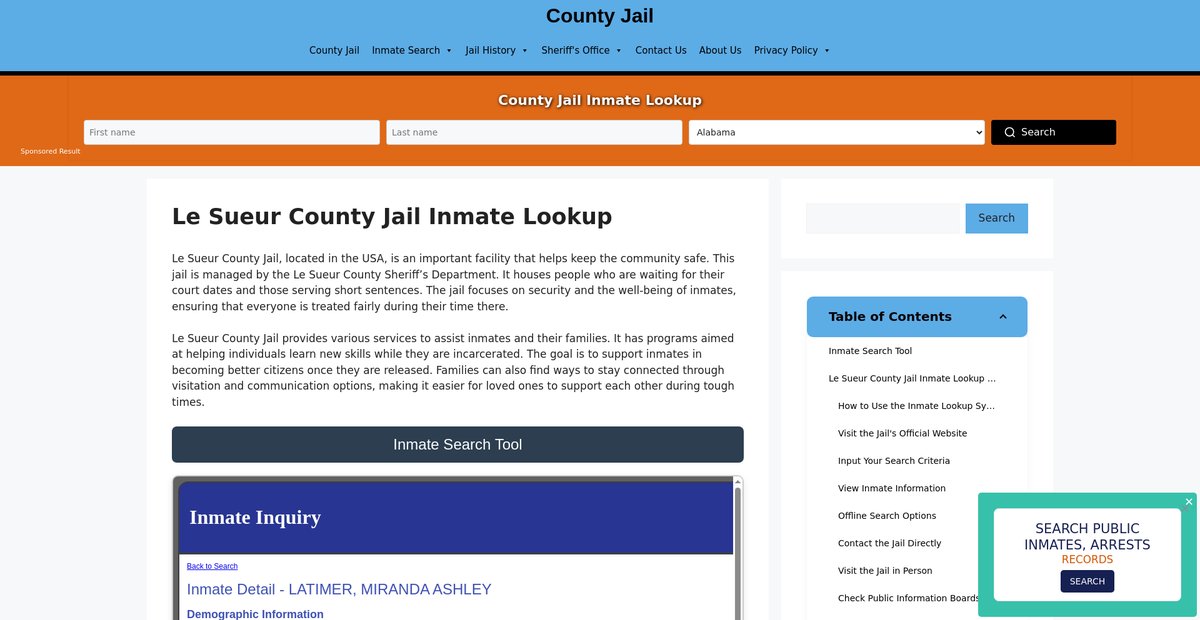 Preview of le-sueur.countyjail.org