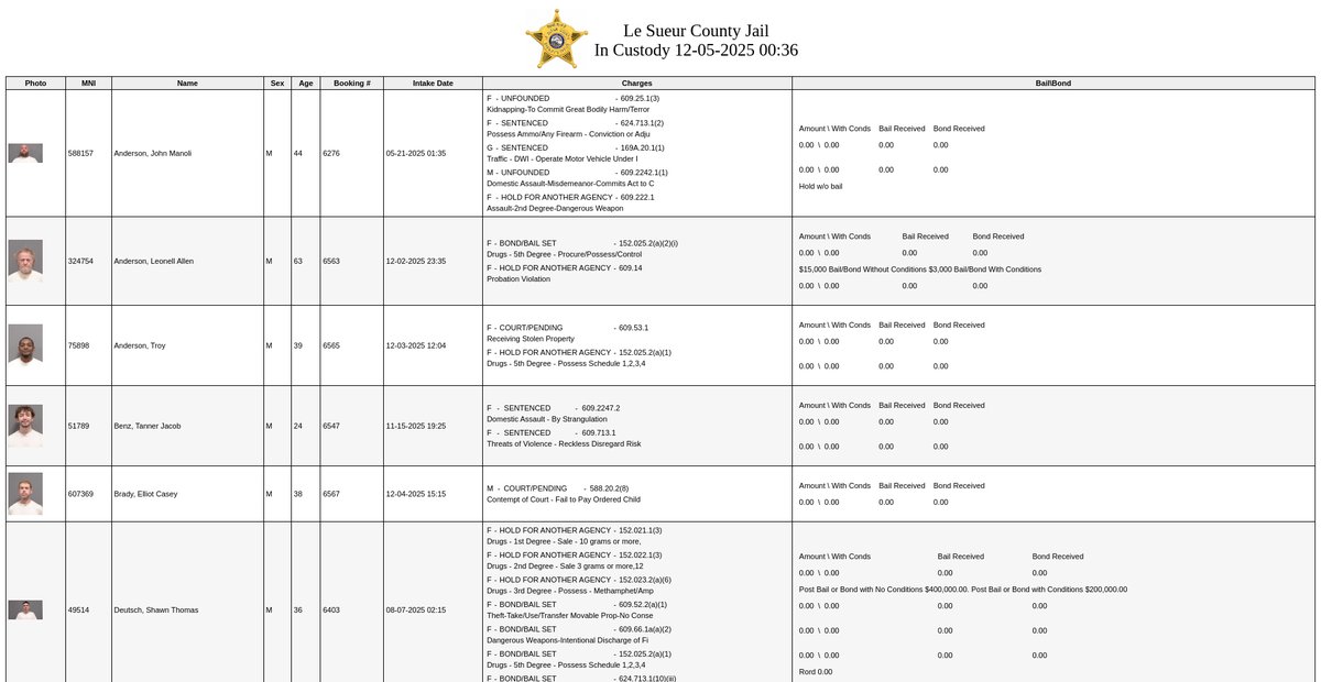Preview of lesueurcounty.firstcloudit.com