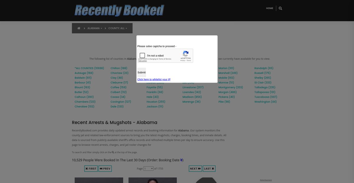Preview of recentlybooked.com