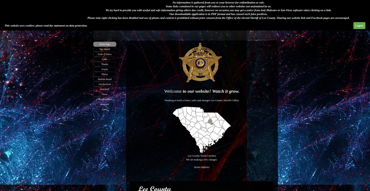 Preview of leeso.org