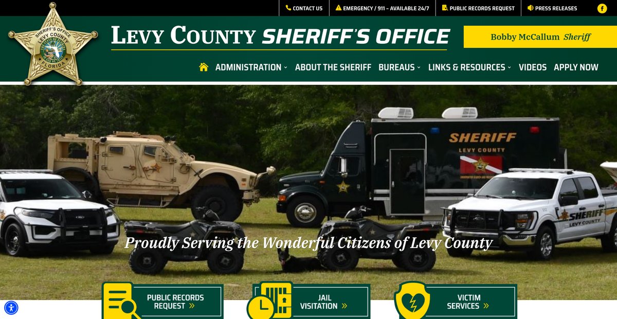 Preview of levyso.com