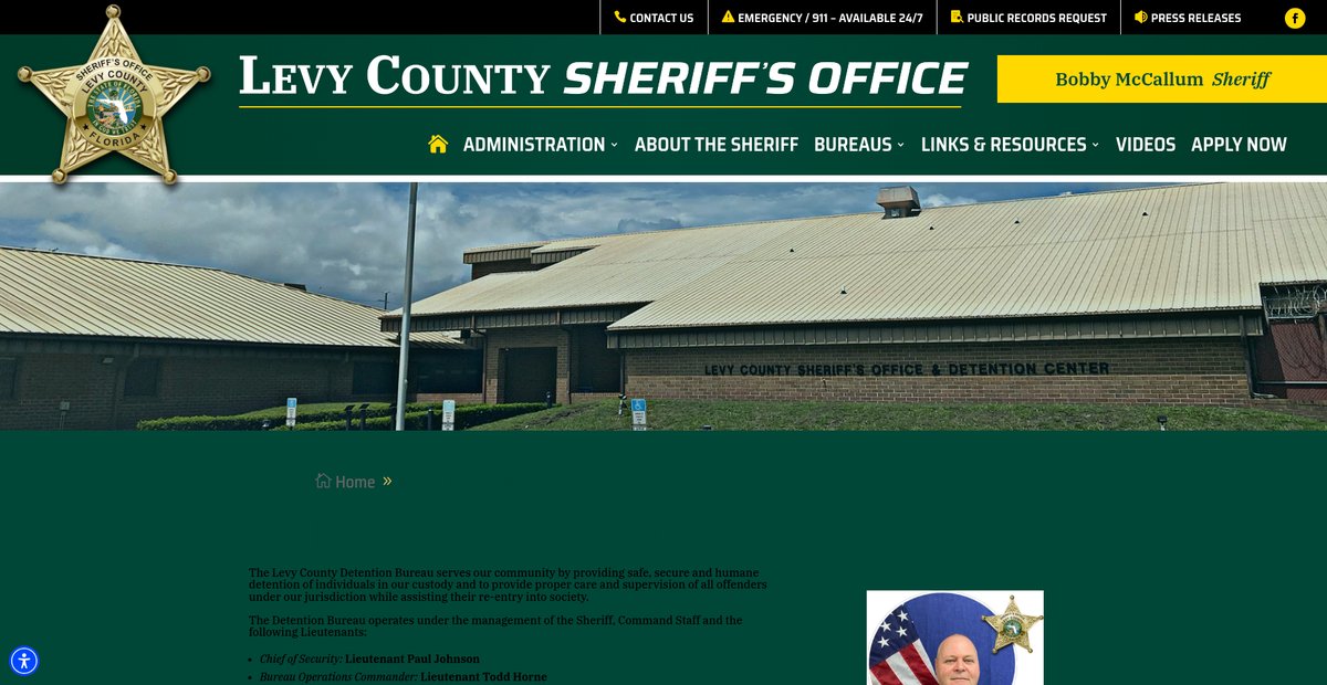 Preview of levyso.com