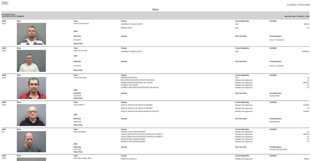 Preview of inmateroster.lincolncountysheriff.us
