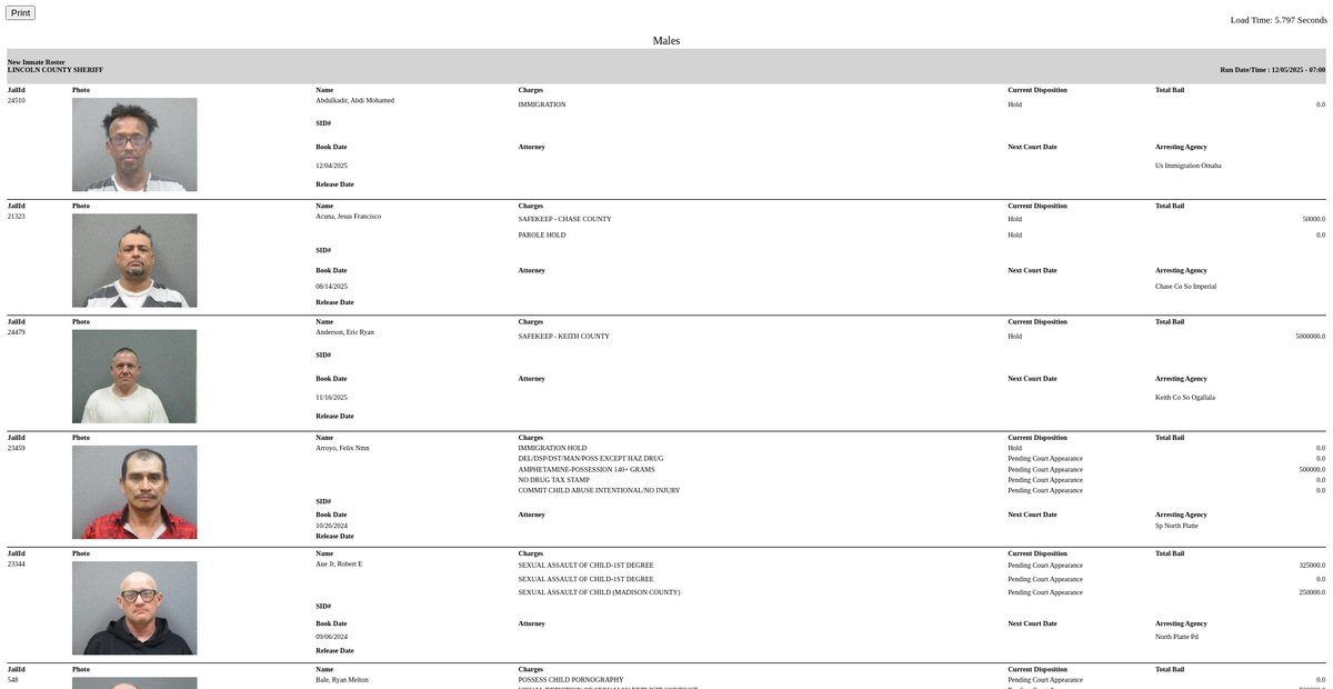 Preview of inmateroster.lincolncountysheriff.us