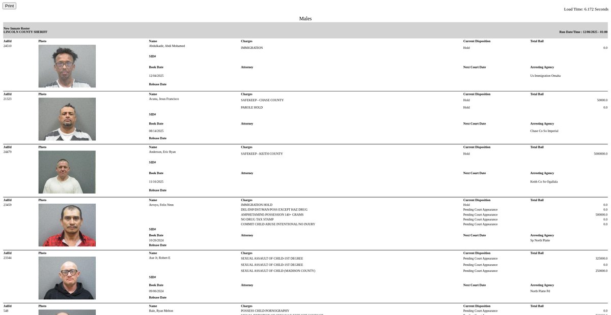 Preview of inmateroster.lincolncountysheriff.us