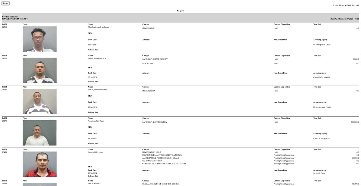 Preview of inmateroster.lincolncountysheriff.us